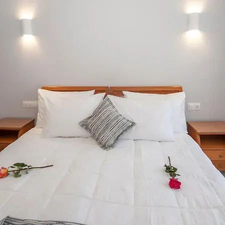 Phoenix Appartement Anemomylos